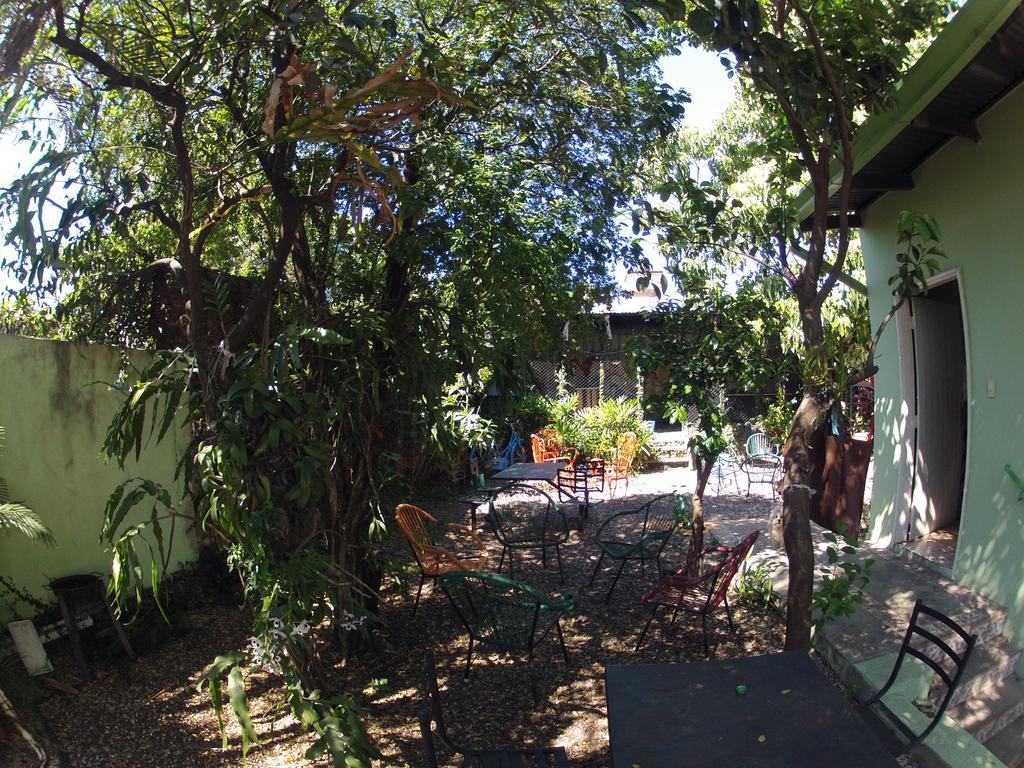 Hamaca Paraguaya Hostel 亚松森 外观 照片