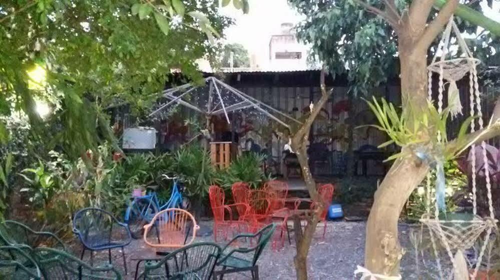 Hamaca Paraguaya Hostel 亚松森 外观 照片